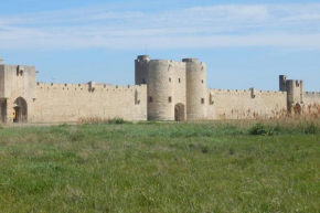 LES MANADES d'Aigues Mortes